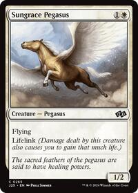 Sungrace Pegasus, Foundations Jumpstart