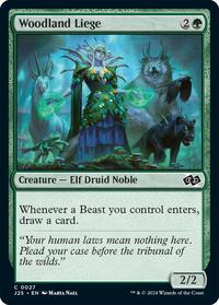 Woodland Liege, Foundations Jumpstart