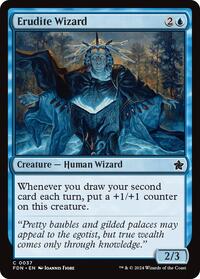 Erudite Wizard, Foundations