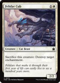 Felidar Cub, Foundations