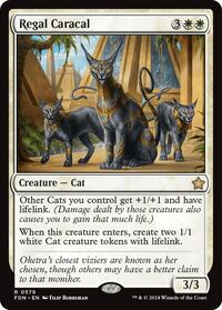 Regal Caracal, Foundations