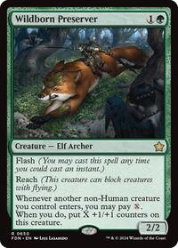 Wildborn Preserver, Foundations