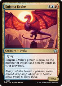 Enigma Drake, Foundations