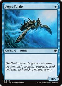 Aegis Turtle, Foundations
