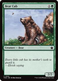 Bear Cub, Foundations