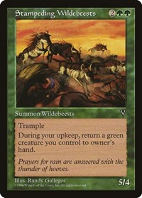 Stampeding Wildebeests, Visions