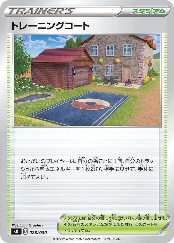 Training Court