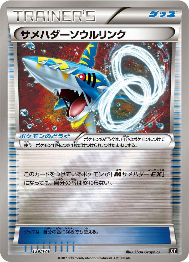Sharpedo Spirit Link