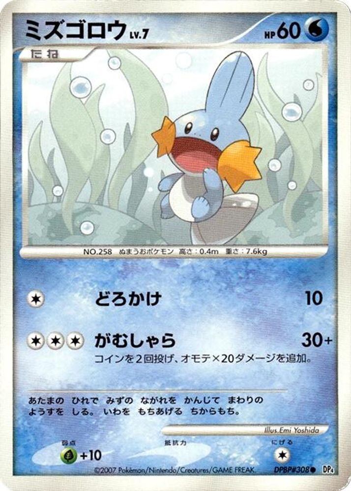 Mudkip, 1st-edition, front