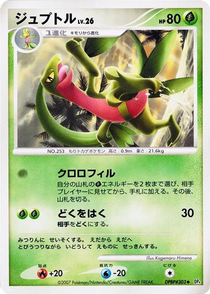 Grovyle, Standard, front