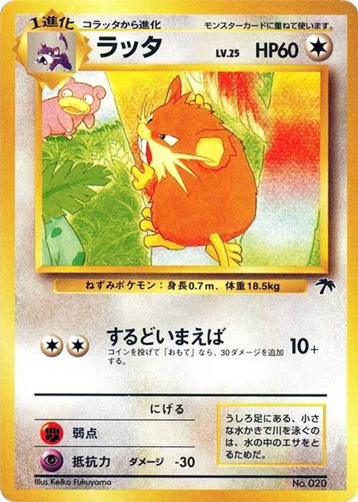 Raticate, Standard, front