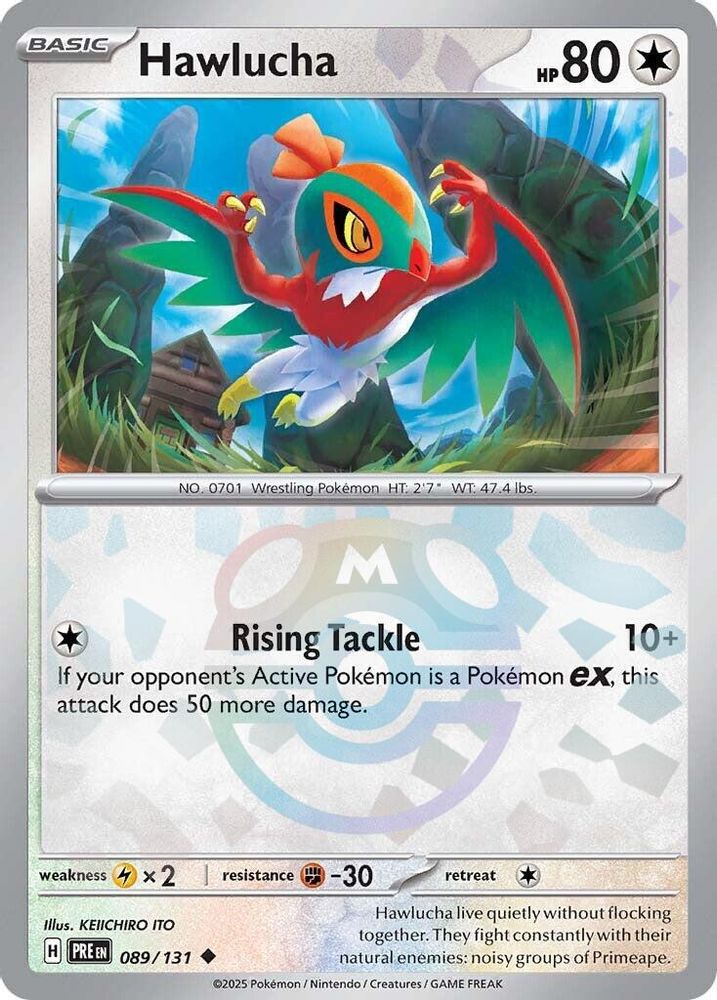 Hawlucha (Master Ball Pattern)