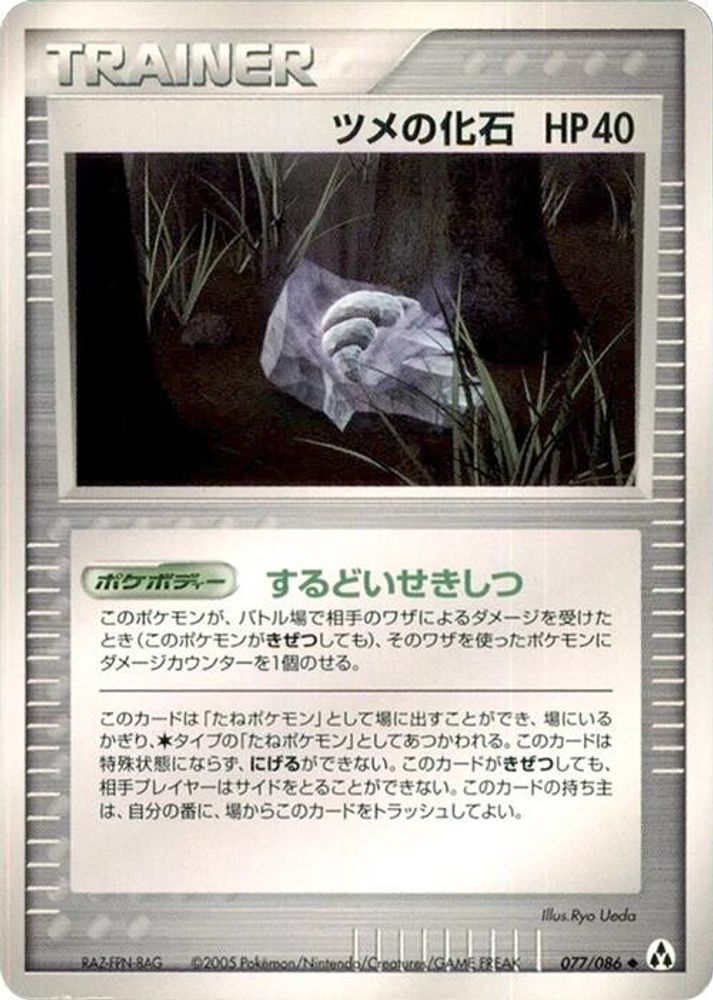 Claw Fossil