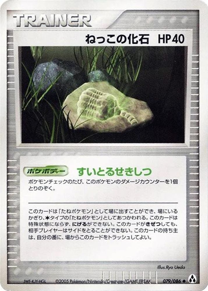 Root Fossil