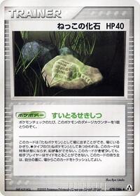 Root Fossil