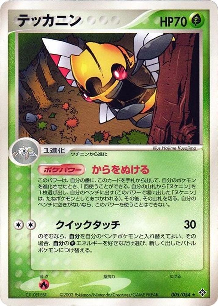 Ninjask