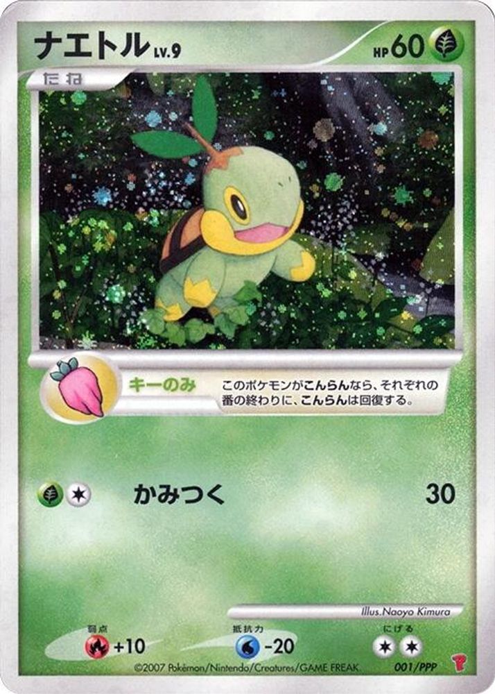 Turtwig