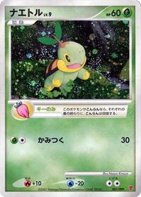 Turtwig