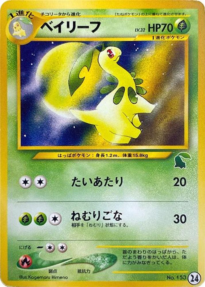 Bayleef