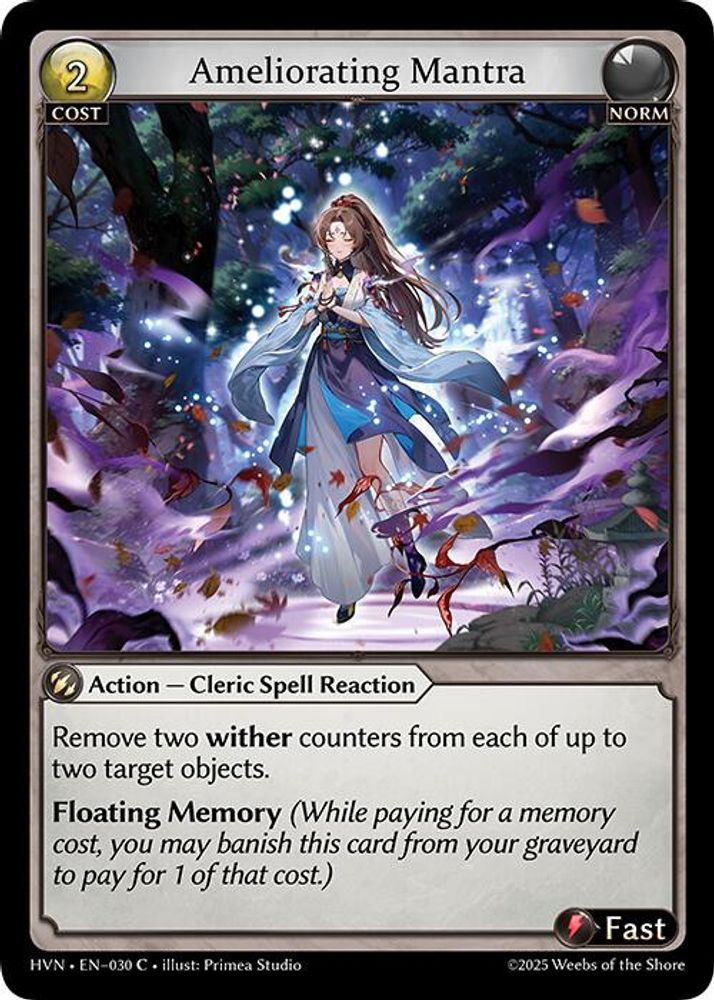 Ameliorating Mantra, Standard, front