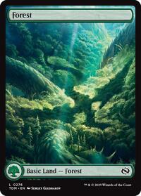 Forest (0276), Tarkir: Dragonstorm
