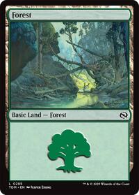 Forest (0285), Tarkir: Dragonstorm