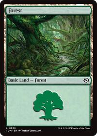 Forest (0286), Tarkir: Dragonstorm