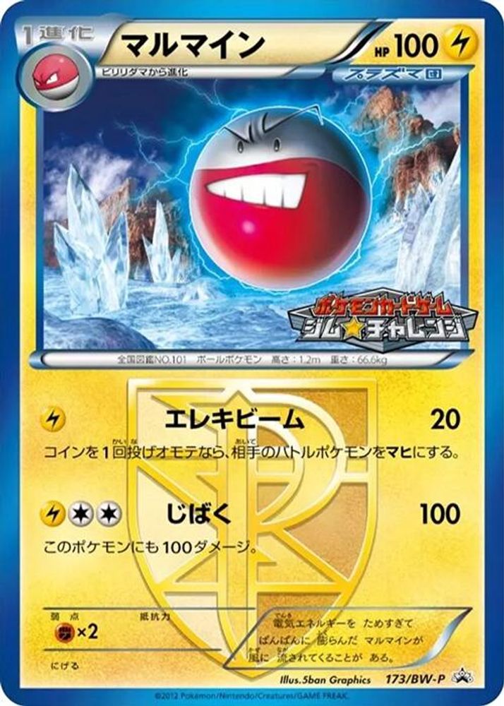 Electrode - Team Plasma