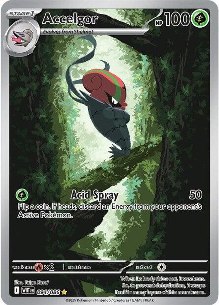 Accelgor