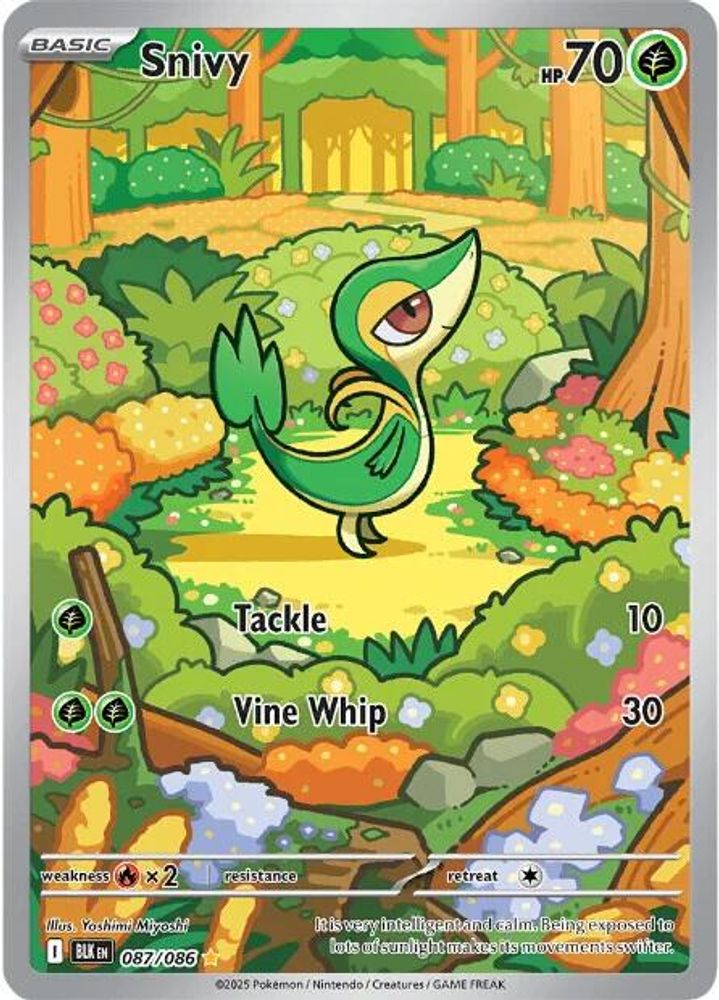 Snivy
