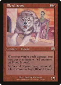 Blood Hound, Mercadian Masques