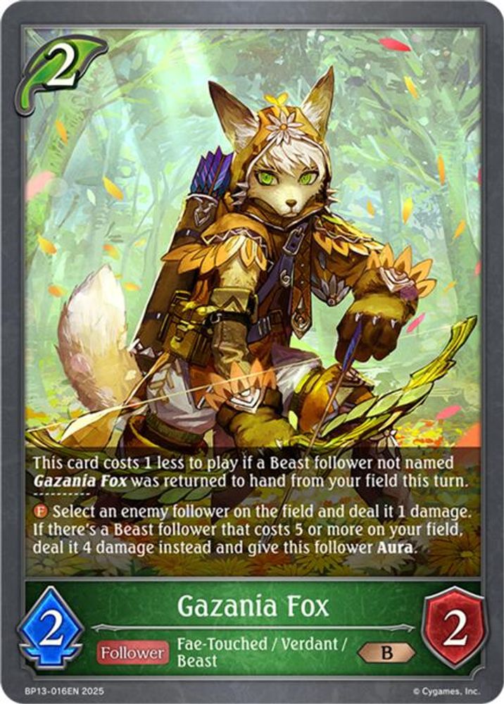 Gazania Fox, Standard, front