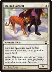 Trained Caracal, Return to Ravnica