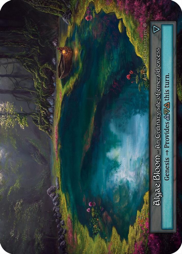 Algae Bloom, Standard, front