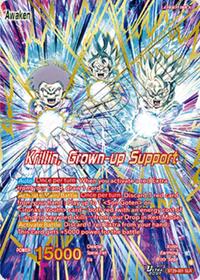 Krillin // Krillin, Grown-up Support (SLR)