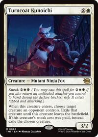 Turncoat Kunoichi, Teenage Mutant Ninja Turtles
