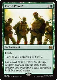 Turtle Power!, Teenage Mutant Ninja Turtles