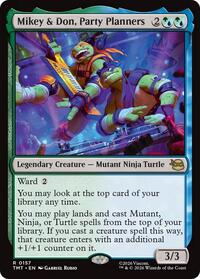 Mikey & Don, Party Planners, Teenage Mutant Ninja Turtles