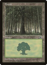 Forest (Large Middle), Portal