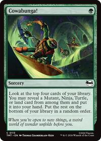 Cowabunga!, Teenage Mutant Ninja Turtles