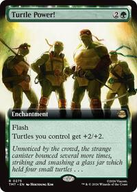 Turtle Power! (Extended Art), Teenage Mutant Ninja Turtles