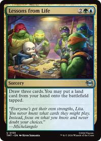 Lessons from Life, Teenage Mutant Ninja Turtles