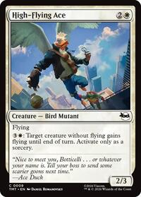 High-Flying Ace, Teenage Mutant Ninja Turtles