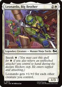 Leonardo, Big Brother, Teenage Mutant Ninja Turtles