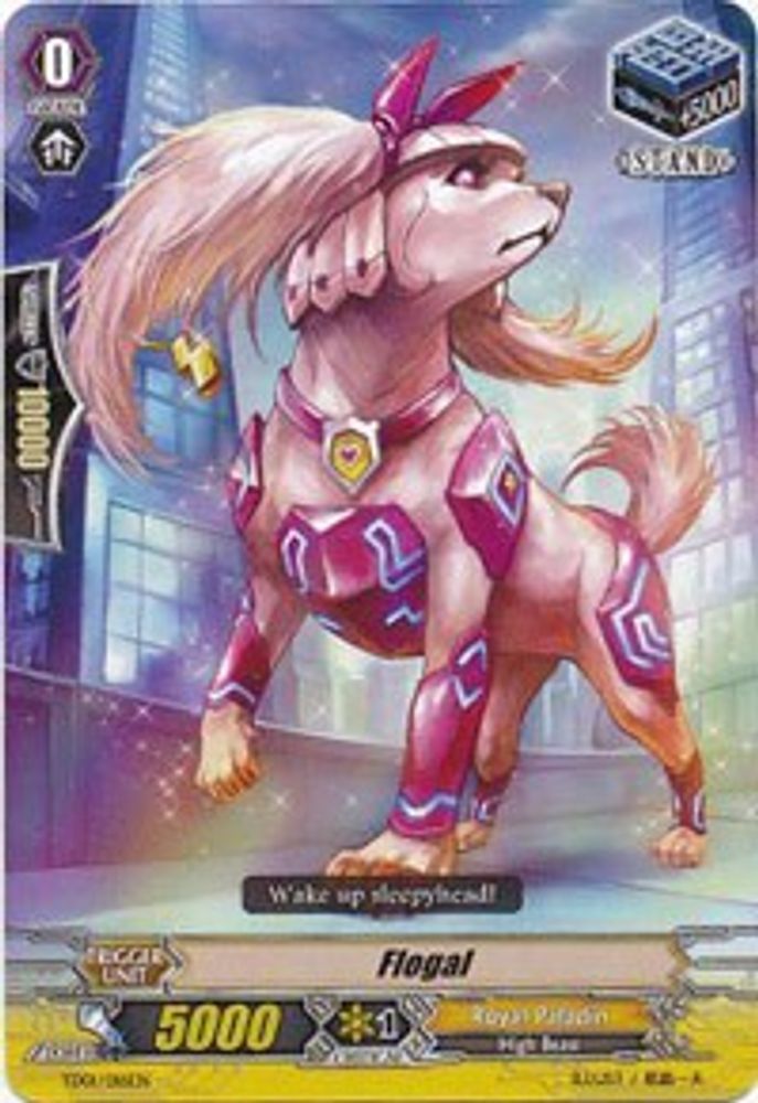 Flogal, Standard, front