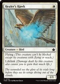 Healer's Hawk (0734), Foundations