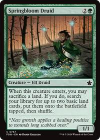 Springbloom Druid (0767), Foundations