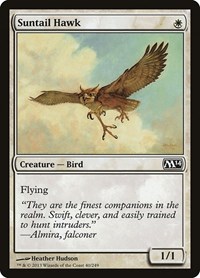 Suntail Hawk, Magic 2014 (M14)