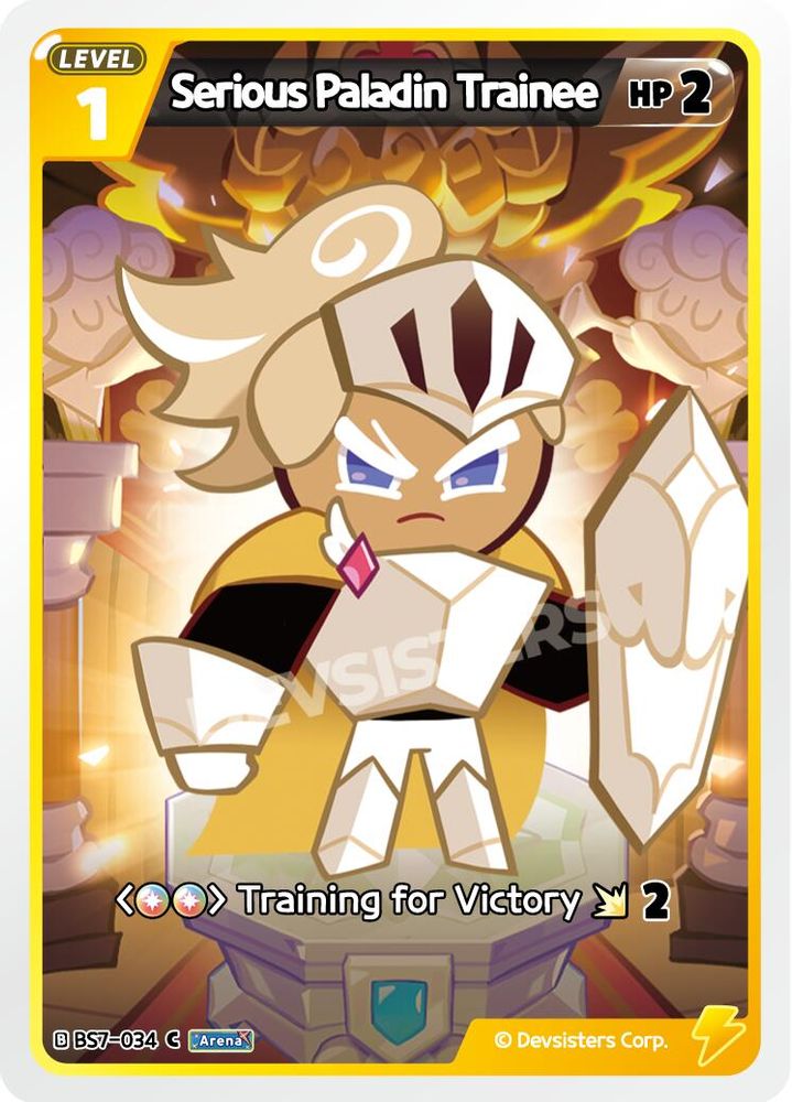 Serious Paladin Trainee, Standard, front