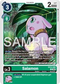 Salamon card art